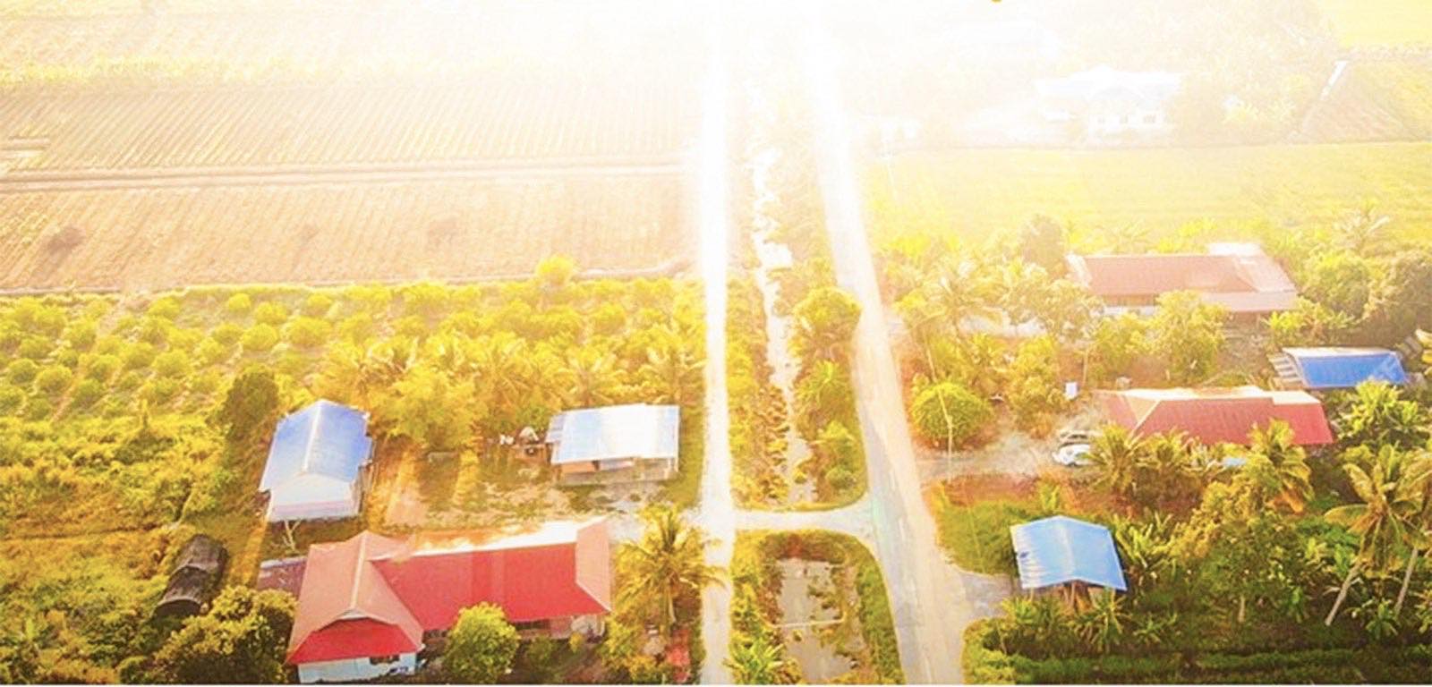 Aerial view of farmland and homes
